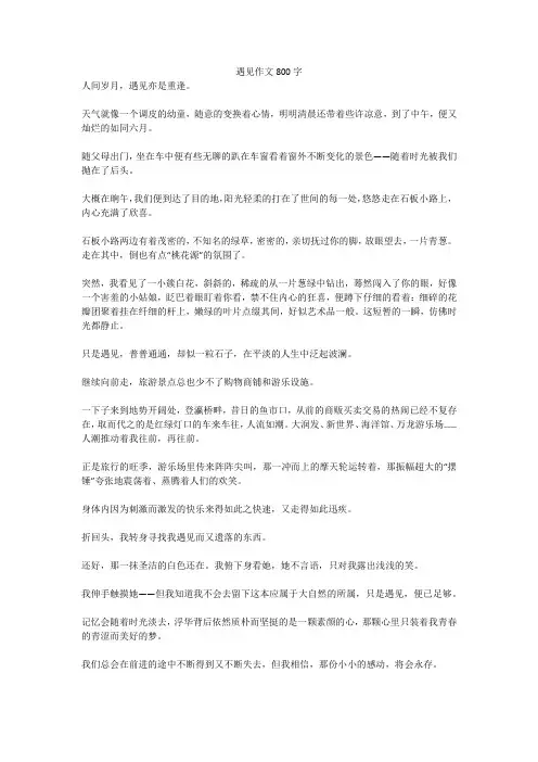 遇见作文800字_6(高分作文)