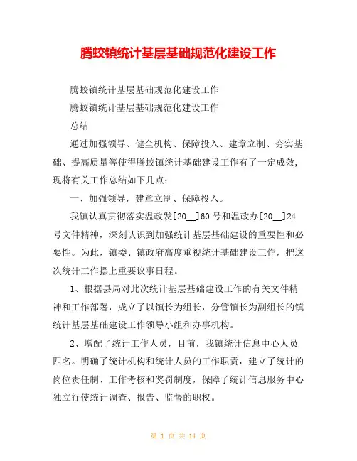 腾蛟镇统计基层基础规范化建设工作
