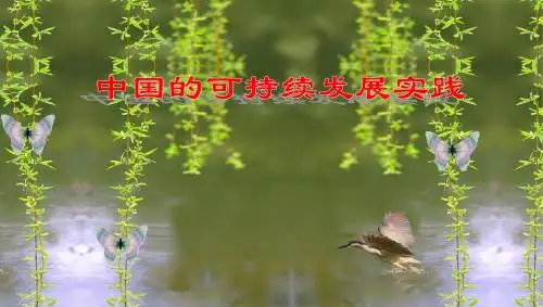 中国的可持续发展