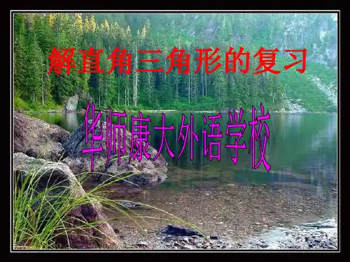 解直角三角形的复习优质课件PPT