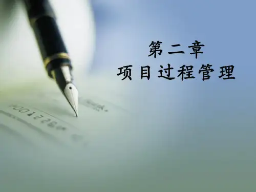 第二章:项目生命周期
