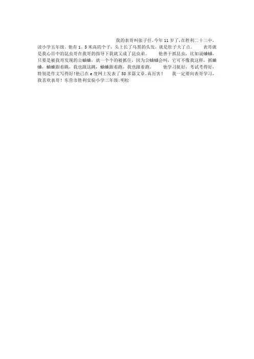 我的表哥作文200字