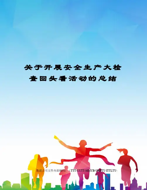 关于开展安全生产大检查回头看活动的总结