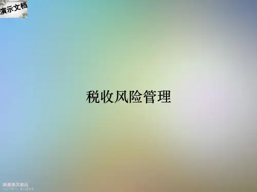 税收风险管理