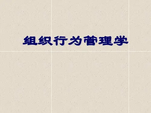 组织行为学-群体行为_
