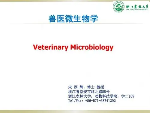 8 病毒的结构
