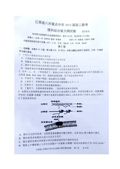 江西省吉安一中、九江一中、新余一中等八所重点中学2019届高三4月联考理科综合试题(图片版)