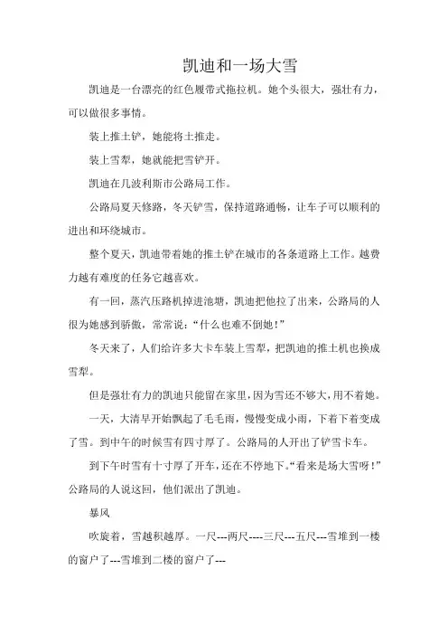 凯迪和一场大雪