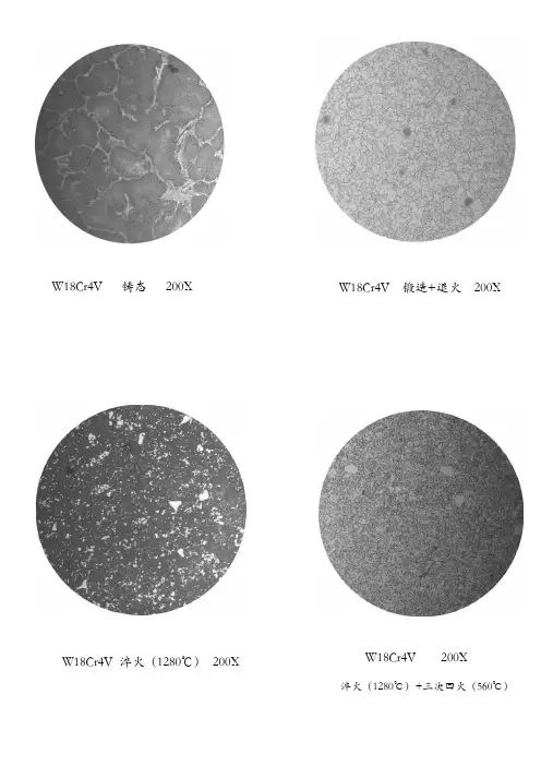 金相观察实验