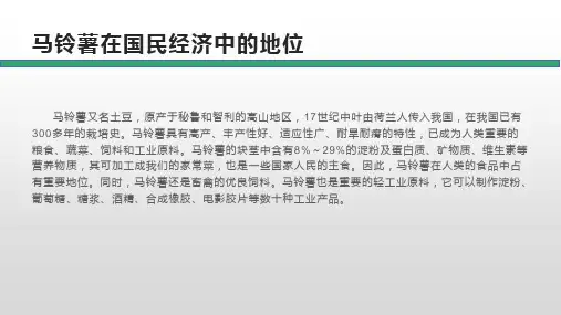 马铃薯栽培技术