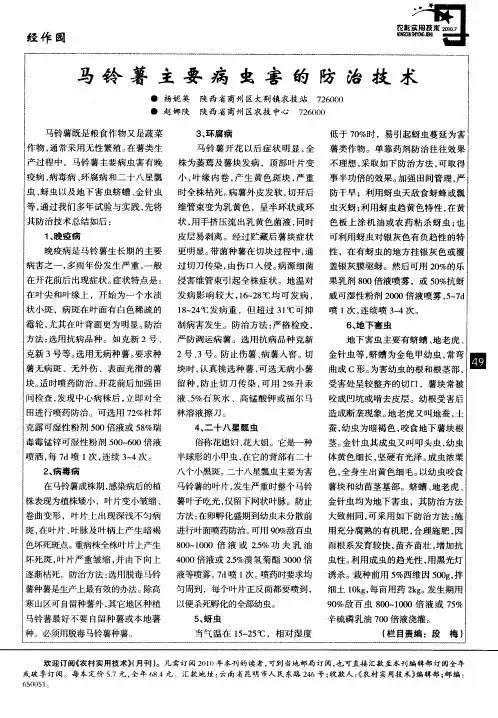 马铃薯主要病虫害的防治技术