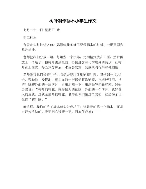 树叶制作标本小学生作文