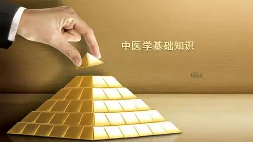 中医基础知识