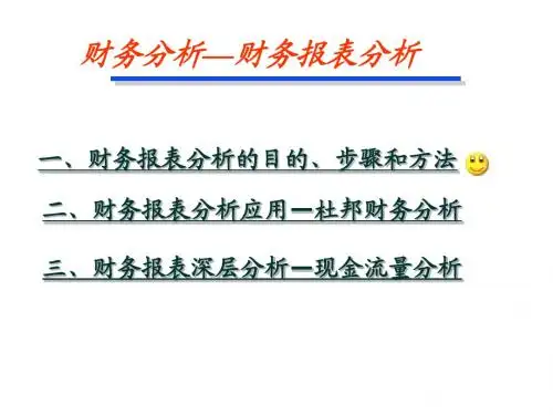 财务分析(2014)