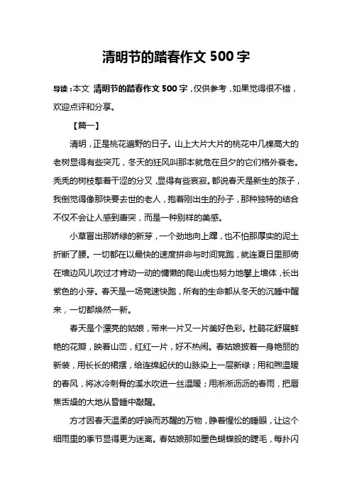 清明节的踏春作文500字