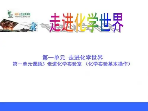 走进化学实验室PPT课件