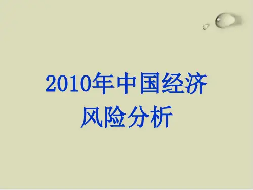 我国经济年度风险分析PPT课件(48张)