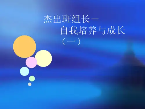杰出班组长自我培养与成长