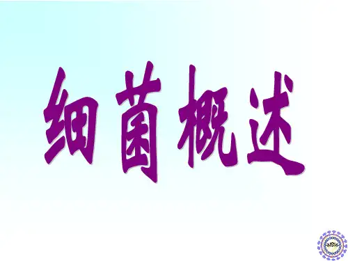 细菌概述