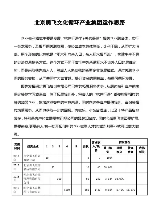 小微企业集团化运作成功策划案