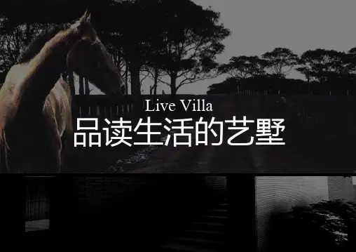 某地产_西安大唐不夜城项目(雁南郡)广告推广策略案_59PPT