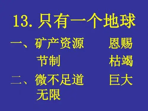 13.《只有一个地球》同步练习册