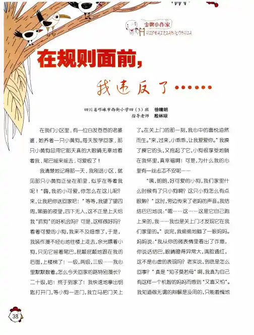在规则面前,我违反了……