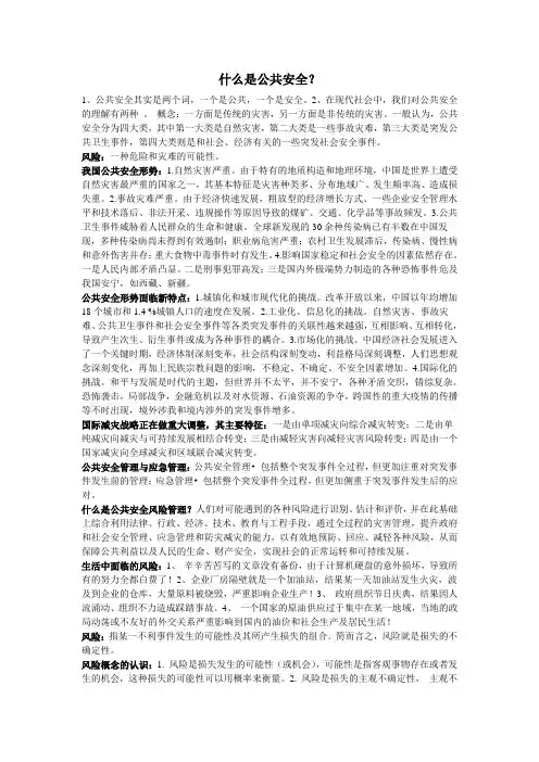 公共安全风险管理