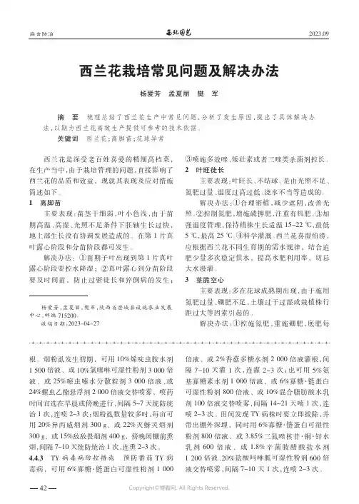 西兰花栽培常见问题及解决办法