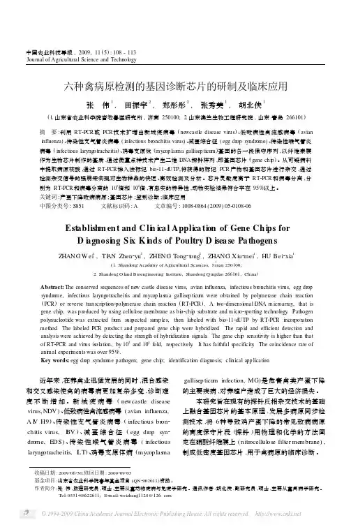 六种禽病原检测的基因诊断芯片的研制及临床应用