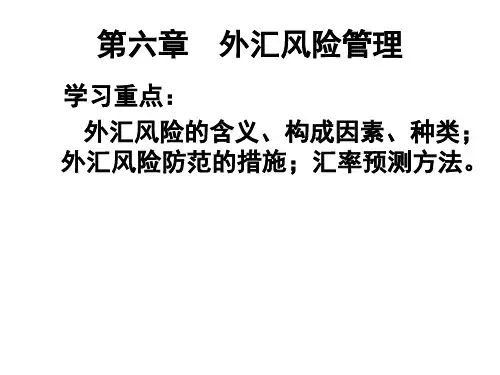 第六章外汇风险及管理