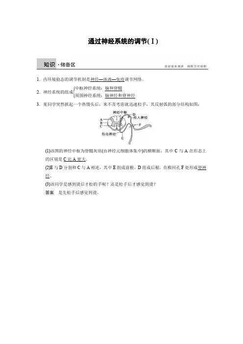 通过神经系统的调节导学案一