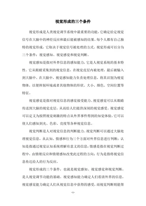视觉形成的三个条件 2
