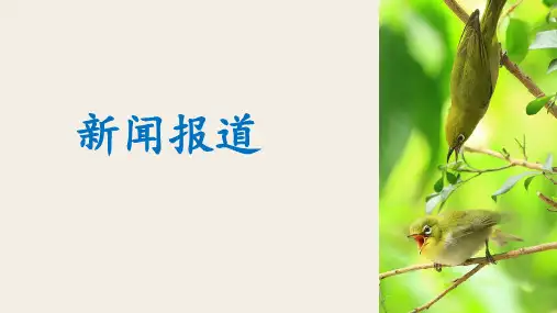 人教版高中英语必修一unit3 writing 作文 新闻报道PPT下载