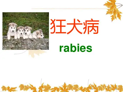 狂犬病暴露后的处置