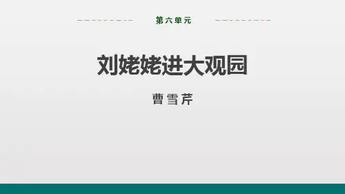 语文部编版九年级上 刘姥姥进大观园 (2)