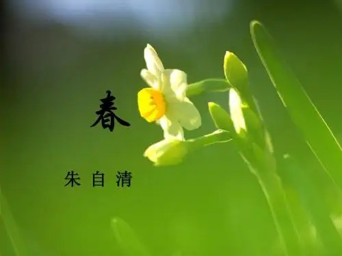 朱自清_春练习一课时.ppt