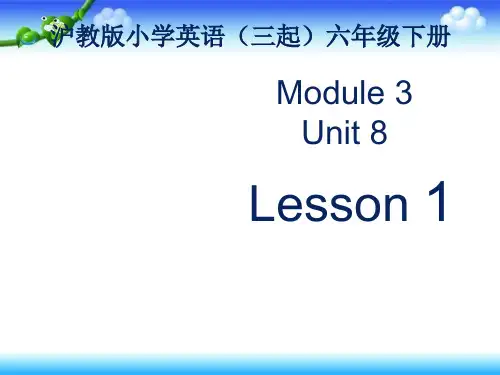 六年级下册英语课件-Module 3 Unit 8《Reading signs》(第1课时)｜牛津上海版 (共27张PPT)