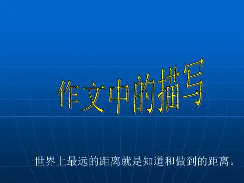 作文中的 动作描写