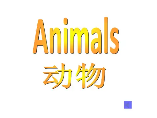 动物Animals_有发音哟!