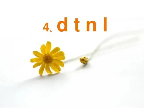 一年级语文声母dtnl