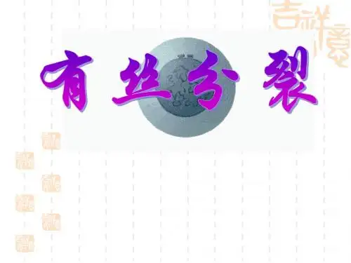 有丝分裂.pptx
