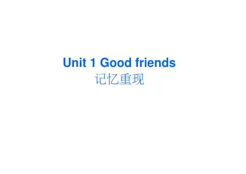 精品高考英语一轮复习课件①：Unit1Goodfriends