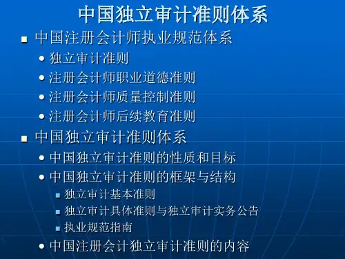 中国独立审计准则体系(精)