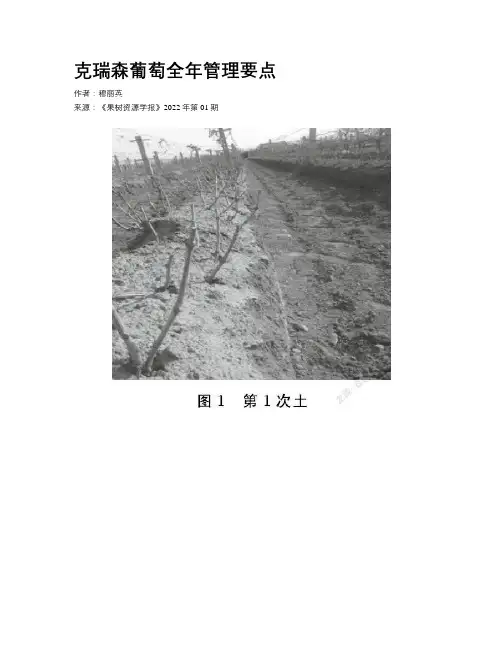 克瑞森葡萄全年管理要点