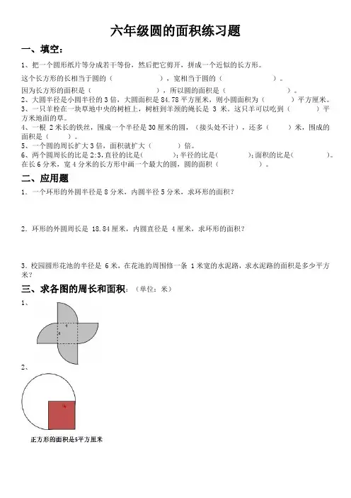 六年级圆的面积练习题