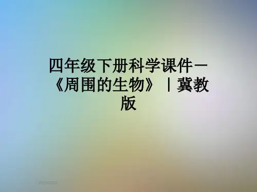 四年级下册科学课件-《周围的生物》｜冀教版