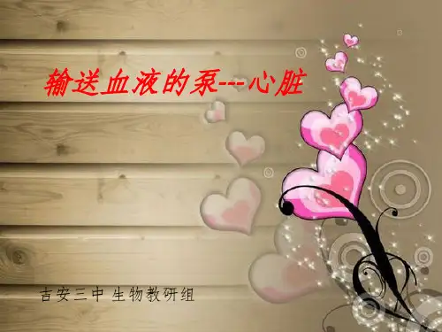 人教版初一生物下册第四单元第四章第三节心脏
