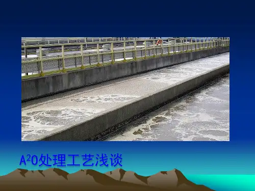 A20 处理工艺浅谈