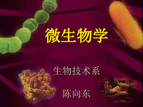 陈向东微生物学第1章